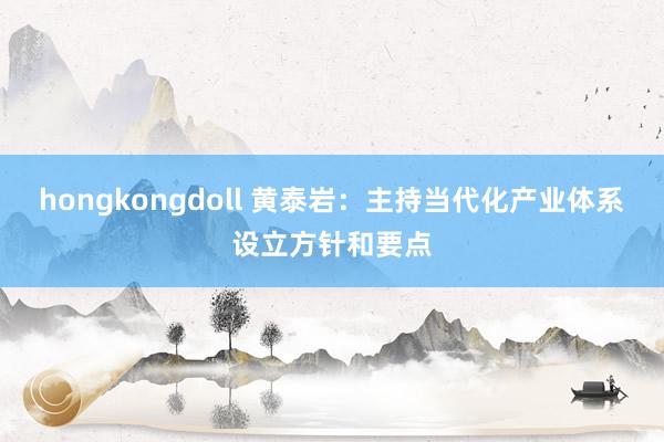 hongkongdoll 黄泰岩：主持当代化产业体系设立方针和要点