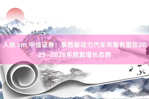 人妖 sm 中信证券：泰西新动力汽车市集有望在2025—2026年规复增长态势