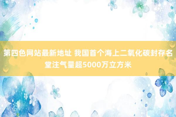 第四色网站最新地址 我国首个海上二氧化碳封存名堂注气量超5000万立方米