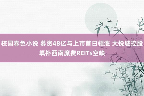 校园春色小说 募资48亿与上市首日领涨 大悦城控股填补西南糜费REITs空缺