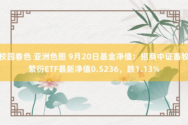 校园春色 亚洲色图 9月20日基金净值：招商中证畜牧繁衍ETF最新净值0.5236，跌1.13%