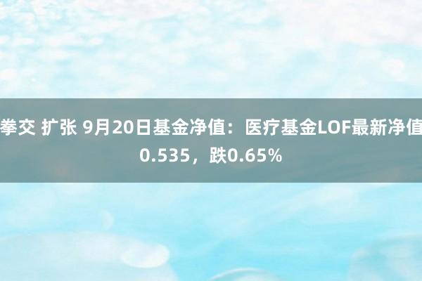 拳交 扩张 9月20日基金净值：医疗基金LOF最新净值0.535，跌0.65%