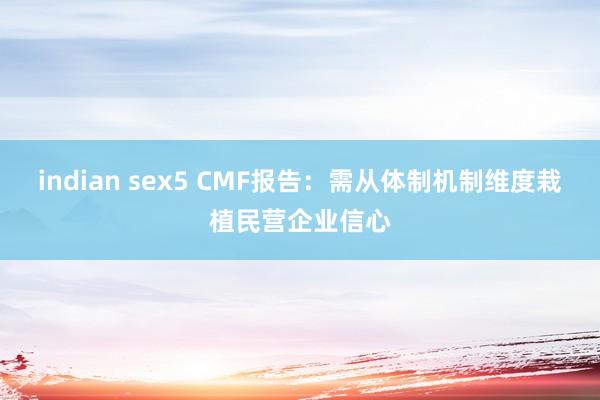 indian sex5 CMF报告：需从体制机制维度栽植民营企业信心