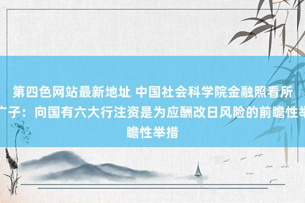 第四色网站最新地址 中国社会科学院金融照看所李广子：向国有六大行注资是为应酬改日风险的前瞻性举措