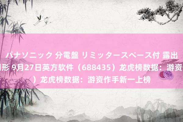 パナソニック 分電盤 リミッタースペース付 露出・半埋込両用形 9月27日英方软件（688435）龙虎榜数据：游资作手新一上榜