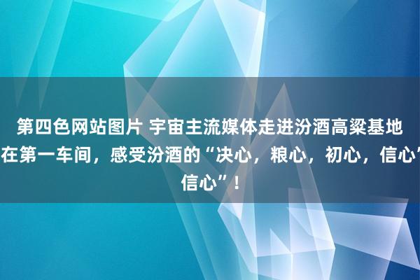 第四色网站图片 宇宙主流媒体走进汾酒高粱基地：在第一车间，感受汾酒的“决心，粮心，初心，信心”！