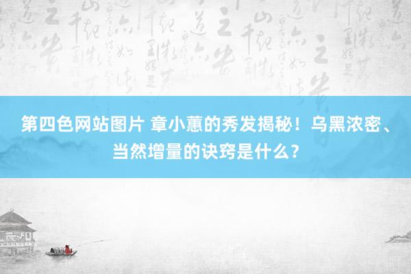 第四色网站图片 章小蕙的秀发揭秘！乌黑浓密、当然增量的诀窍是什么？