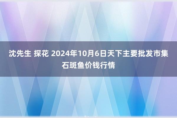 沈先生 探花 2024年10月6日天下主要批发市集石斑鱼价钱行情