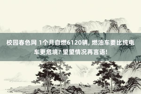 校园春色网 1个月自燃6120辆， 燃油车要比纯电车更危境? 望望情况再言语!