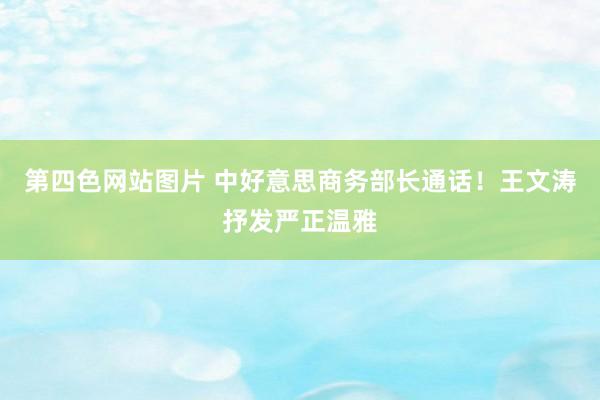 第四色网站图片 中好意思商务部长通话！王文涛抒发严正温雅