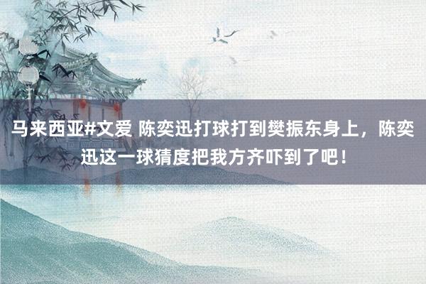 马来西亚#文爱 陈奕迅打球打到樊振东身上，陈奕迅这一球猜度把我方齐吓到了吧！