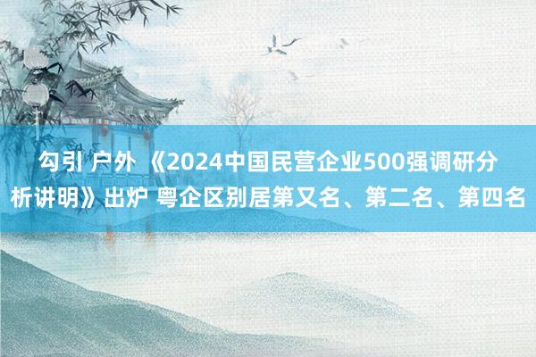 勾引 户外 《2024中国民营企业500强调研分析讲明》出炉 粤企区别居第又名、第二名、第四名