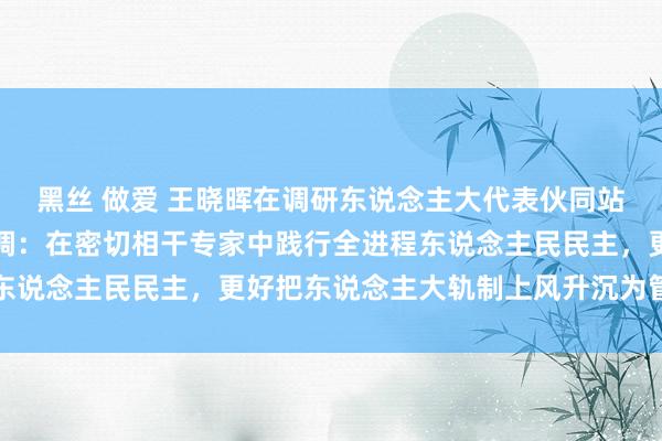 黑丝 做爱 王晓晖在调研东说念主大代表伙同站和下层立法相干点时强调：在密切相干专家中践行全进程东说念主民民主，更好把东说念主大轨制上风升沉为管制效力