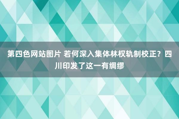 第四色网站图片 若何深入集体林权轨制校正？四川印发了这一有绸缪