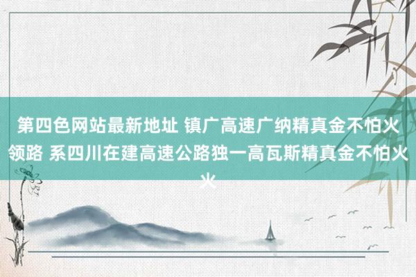 第四色网站最新地址 镇广高速广纳精真金不怕火领路 系四川在建高速公路独一高瓦斯精真金不怕火