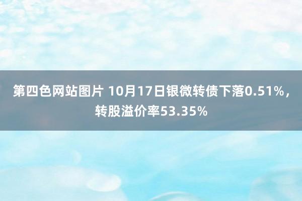 第四色网站图片 10月17日银微转债下落0.51%，转股溢价率53.35%