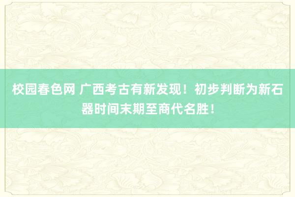 校园春色网 广西考古有新发现！初步判断为新石器时间末期至商代名胜！