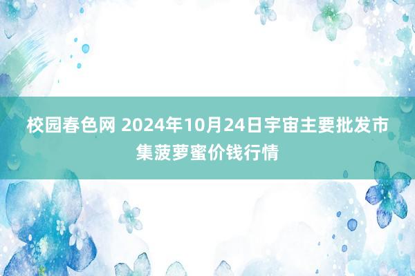 校园春色网 2024年10月24日宇宙主要批发市集菠萝蜜价钱行情