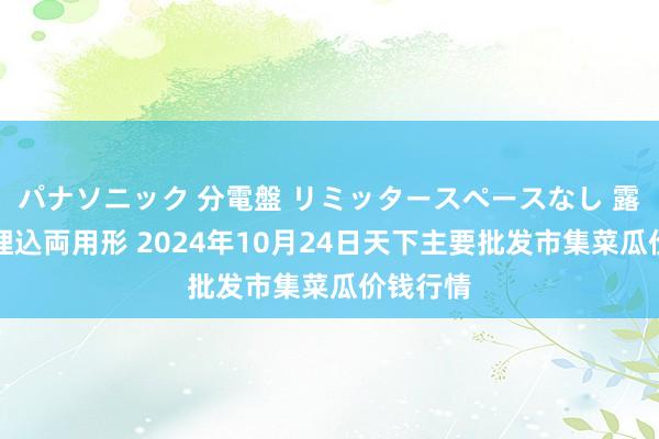 パナソニック 分電盤 リミッタースペースなし 露出・半埋込両用形 2024年10月24日天下主要批发市集菜瓜价钱行情