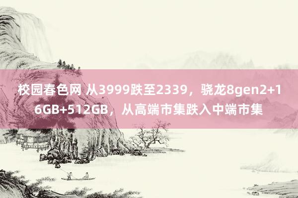 校园春色网 从3999跌至2339，骁龙8gen2+16GB+512GB，从高端市集跌入中端市集