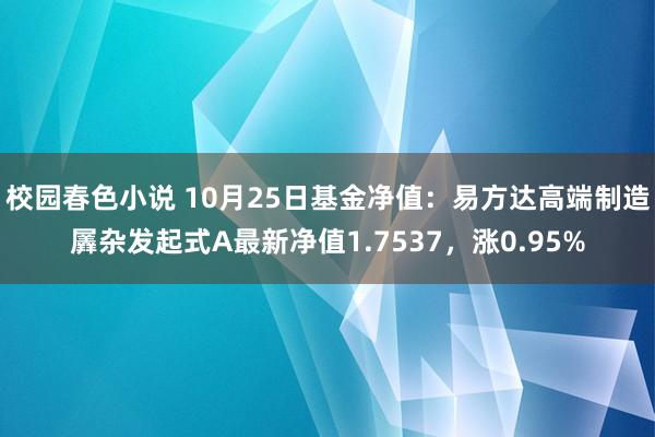 校园春色小说 10月25日基金净值：易方达高端制造羼杂发起式A最新净值1.7537，涨0.95%