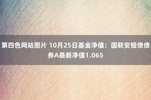 第四色网站图片 10月25日基金净值：国联安短债债券A最新净值1.065