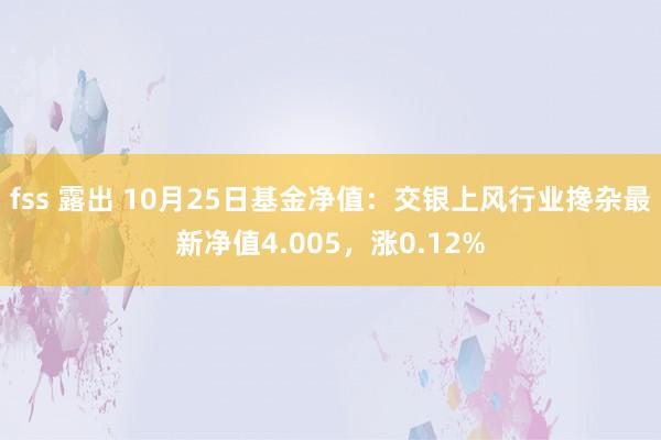 fss 露出 10月25日基金净值：交银上风行业搀杂最新净值4.005，涨0.12%