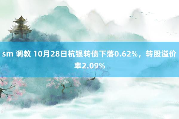 sm 调教 10月28日杭银转债下落0.62%，转股溢价率2.09%