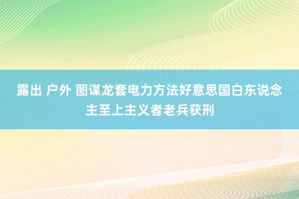 露出 户外 图谋龙套电力方法　好意思国白东说念主至上主义者老兵获刑