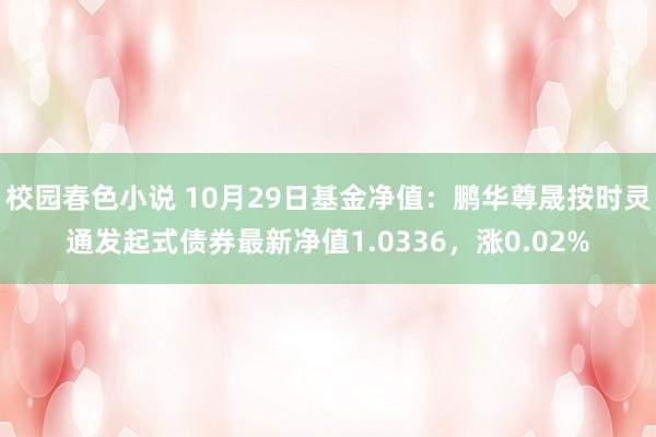 校园春色小说 10月29日基金净值：鹏华尊晟按时灵通发起式债券最新净值1.0336，涨0.02%