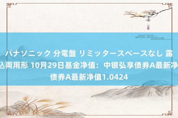 パナソニック 分電盤 リミッタースペースなし 露出・半埋込両用形 10月29日基金净值：中银弘享债券A最新净值1.0424