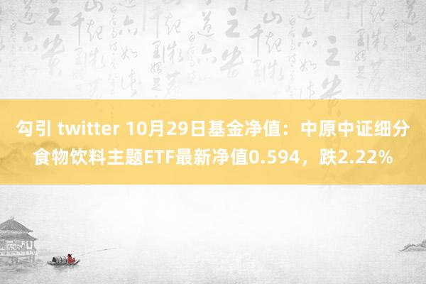 勾引 twitter 10月29日基金净值：中原中证细分食物饮料主题ETF最新净值0.594，跌2.22%