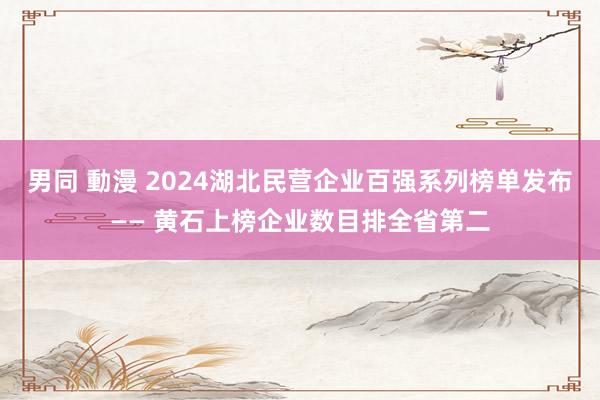 男同 動漫 2024湖北民营企业百强系列榜单发布—— 黄石上榜企业数目排全省第二