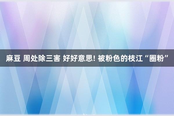 麻豆 周处除三害 好好意思! 被粉色的枝江“圈粉”