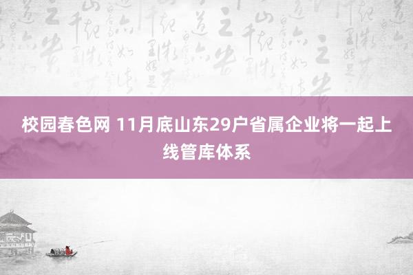 校园春色网 11月底山东29户省属企业将一起上线管库体系