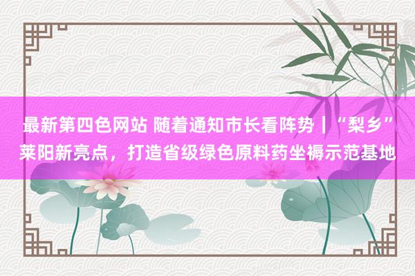 最新第四色网站 随着通知市长看阵势｜“梨乡”莱阳新亮点，打造省级绿色原料药坐褥示范基地