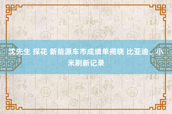 沈先生 探花 新能源车市成绩单揭晓 比亚迪、小米刷新记录