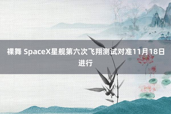 裸舞 SpaceX星舰第六次飞翔测试对准11月18日进行