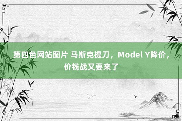 第四色网站图片 马斯克提刀，Model Y降价，价钱战又要来了