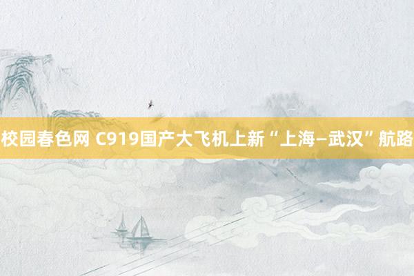 校园春色网 C919国产大飞机上新“上海—武汉”航路