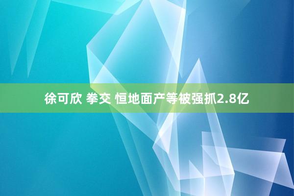 徐可欣 拳交 恒地面产等被强抓2.8亿