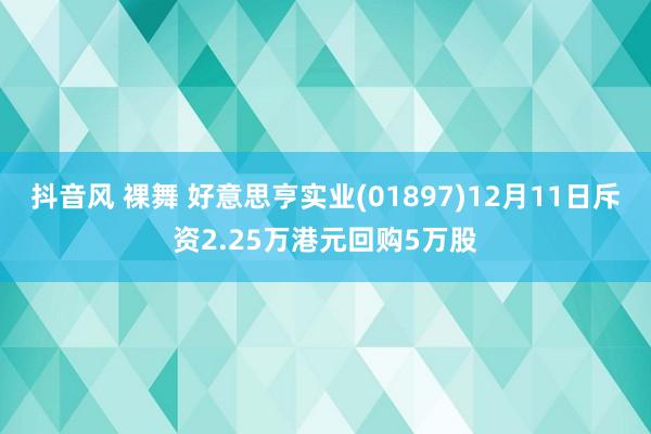 抖音风 裸舞 好意思亨实业(01897)12月11日斥资2.25万港元回购5万股