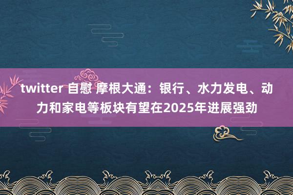 twitter 自慰 摩根大通：银行、水力发电、动力和家电等板块有望在2025年进展强劲