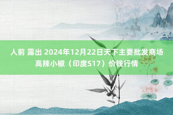 人前 露出 2024年12月22日天下主要批发商场高辣小椒（印度S17）价钱行情