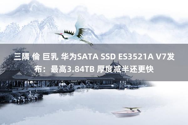 三隅 倫 巨乳 华为SATA SSD ES3521A V7发布：最高3.84TB 厚度减半还更快