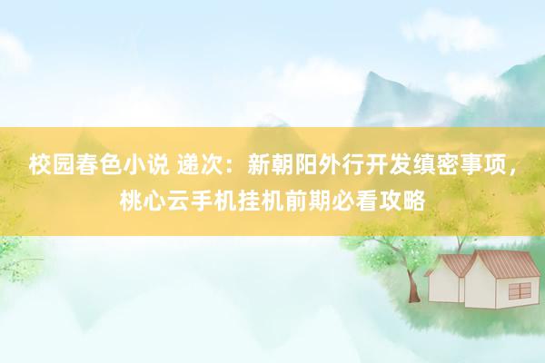 校园春色小说 递次：新朝阳外行开发缜密事项，桃心云手机挂机前期必看攻略