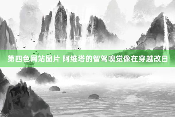 第四色网站图片 阿维塔的智驾嗅觉像在穿越改日