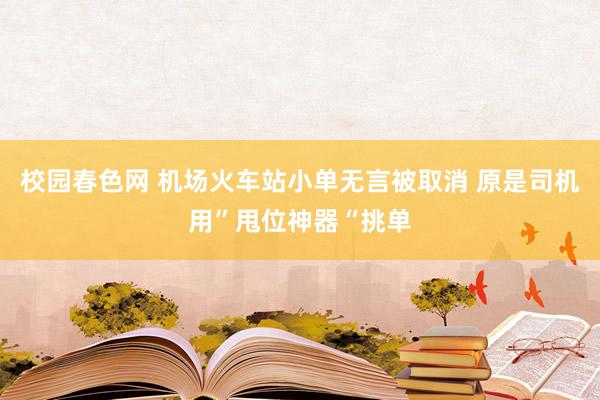 校园春色网 机场火车站小单无言被取消 原是司机用”甩位神器“挑单