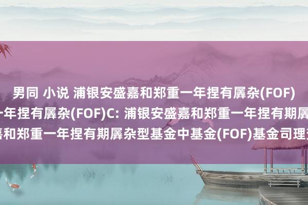 男同 小说 浦银安盛嘉和郑重一年捏有羼杂(FOF)A，浦银安盛嘉和郑重一年捏有羼杂(FOF)C: 浦银安盛嘉和郑重一年捏有期羼杂型基金中基金(FOF)基金司理变更公告