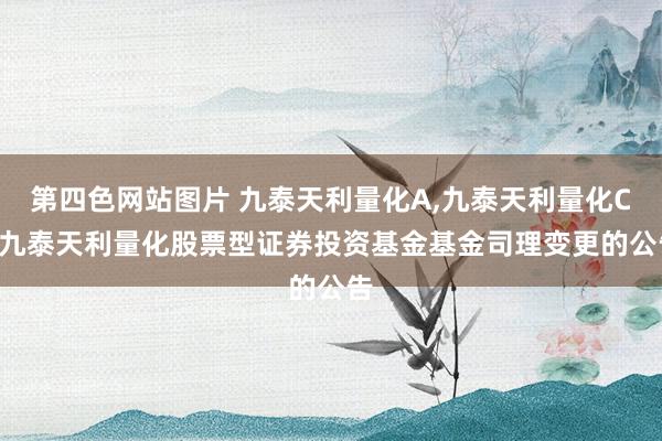 第四色网站图片 九泰天利量化A，<a href=